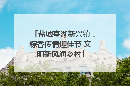盐城亭湖新兴镇：粽香传情迎佳节 文明新风润乡村