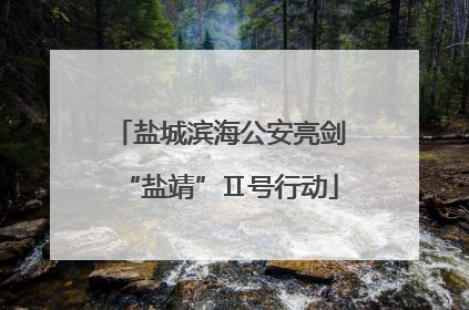 盐城滨海公安亮剑“盐靖”Ⅱ号行动