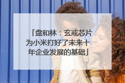盘和林：玄戒芯片为小米打好了未来十年企业发展的基础