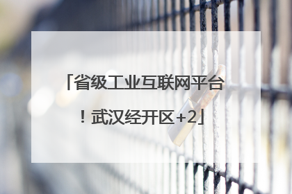 省级工业互联网平台！武汉经开区+2