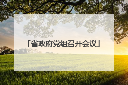 省政府党组召开会议