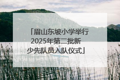 眉山东坡小学举行2025年第二批新少先队员入队仪式