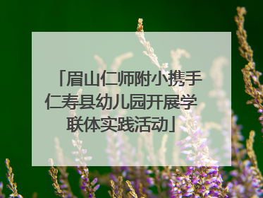 眉山仁师附小携手仁寿县幼儿园开展学联体实践活动