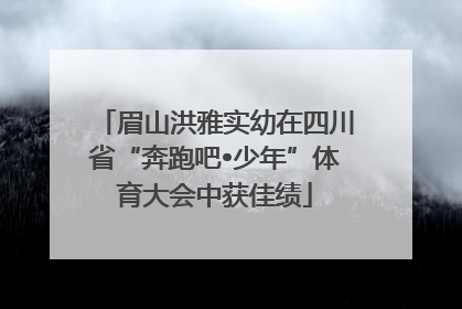 眉山洪雅实幼在四川省“奔跑吧•少年”体育大会中获佳绩