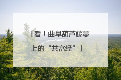 看！曲阜葫芦藤蔓上的“共富经”
