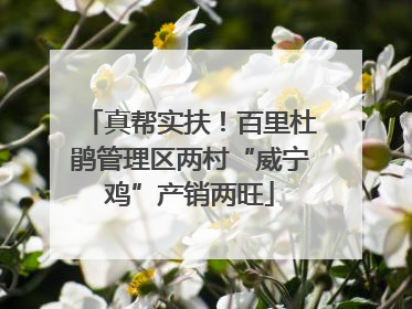 真帮实扶！百里杜鹃管理区两村“威宁鸡”产销两旺
