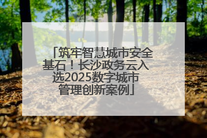 筑牢智慧城市安全基石！长沙政务云入选2025数字城市管理创新案例