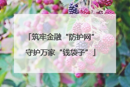 筑牢金融“防护网” 守护万家“钱袋子”