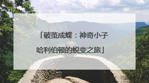 破茧成蝶：神奇小子哈利伯顿的蜕变之旅