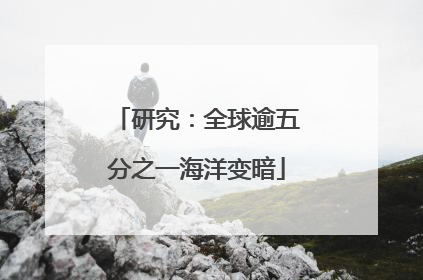 研究：全球逾五分之一海洋变暗