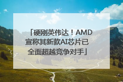 硬刚英伟达！AMD宣称其新款AI芯片已全面超越竞争对手