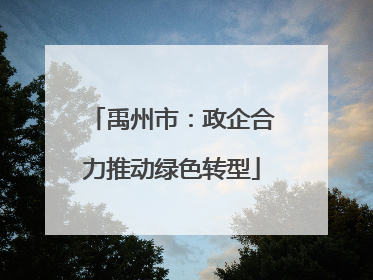 禹州市：政企合力推动绿色转型