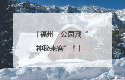 福州一公园藏“神秘来客”！