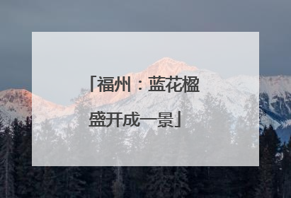 福州：蓝花楹盛开成一景