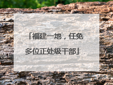 福建一地，任免多位正处级干部