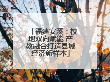 福建安溪：校地双向赋能 产教融合打造县域经济新样本