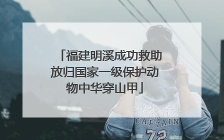 福建明溪成功救助放归国家一级保护动物中华穿山甲