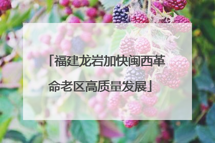 福建龙岩加快闽西革命老区高质量发展