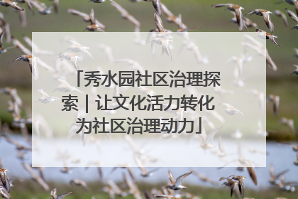 秀水园社区治理探索｜让文化活力转化为社区治理动力