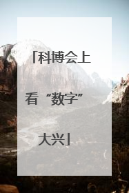科博会上看“数字”大兴