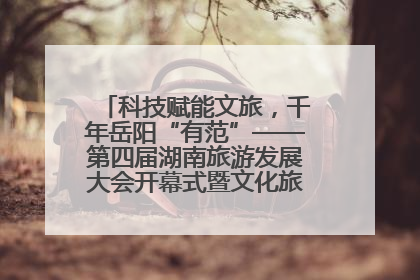 科技赋能文旅，千年岳阳“有范”——第四届湖南旅游发展大会开幕式暨文化旅游推介会侧记