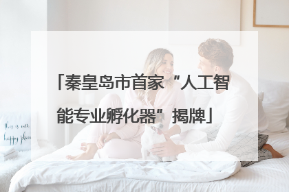 秦皇岛市首家“人工智能专业孵化器”揭牌