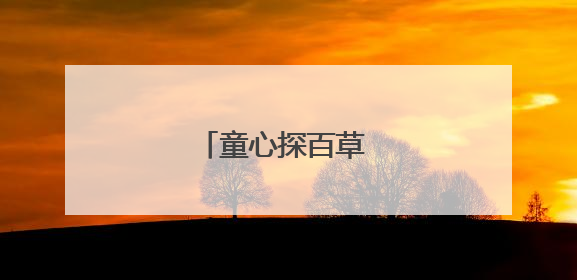 童心探百草 小手传药香