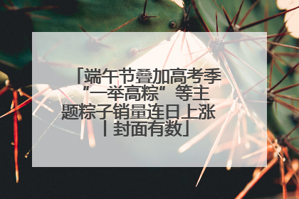 端午节叠加高考季 “一举高粽”等主题粽子销量连日上涨丨封面有数