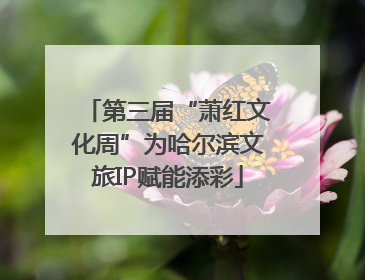 第三届“萧红文化周”为哈尔滨文旅IP赋能添彩