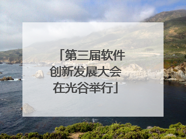 第三届软件创新发展大会在光谷举行