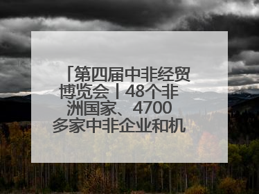 第四届中非经贸博览会丨48个非洲国家、4700多家中非企业和机构将参会