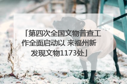 第四次全国文物普查工作全面启动以 来福州新发现文物1173处