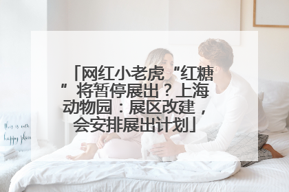 网红小老虎“红糖”将暂停展出？上海动物园：展区改建，会安排展出计划