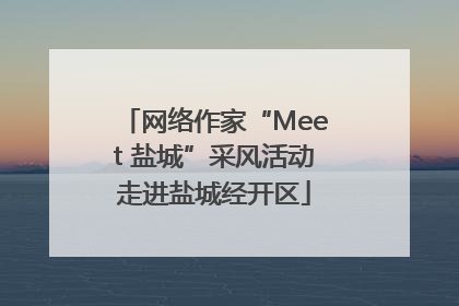 网络作家“Meet 盐城”采风活动走进盐城经开区