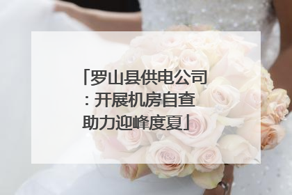 罗山县供电公司：开展机房自查 助力迎峰度夏