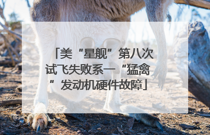 美“星舰”第八次试飞失败系一“猛禽”发动机硬件故障