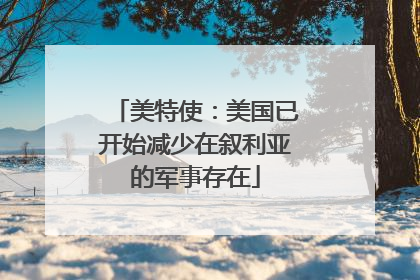美特使：美国已开始减少在叙利亚的军事存在