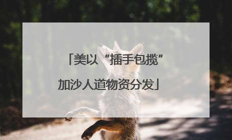 美以“插手包揽”加沙人道物资分发