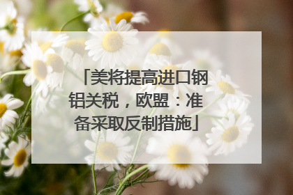 美将提高进口钢铝关税，欧盟：准备采取反制措施