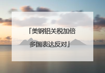 美钢铝关税加倍 多国表达反对