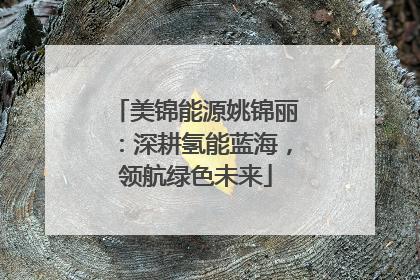 美锦能源姚锦丽：深耕氢能蓝海，领航绿色未来