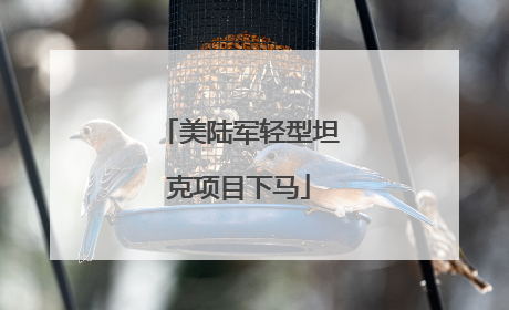 美陆军轻型坦克项目下马