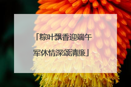 粽叶飘香迎端午 军休情深颂清廉