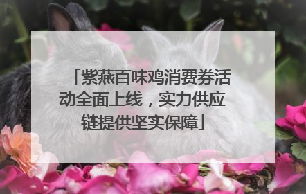 紫燕百味鸡消费券活动全面上线，实力供应链提供坚实保障