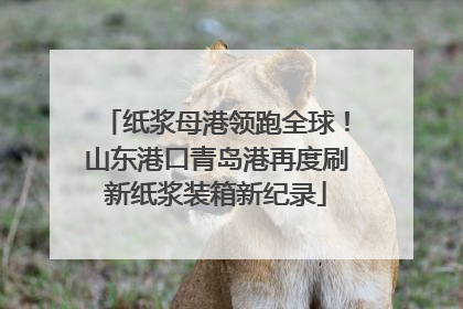 纸浆母港领跑全球！山东港口青岛港再度刷新纸浆装箱新纪录