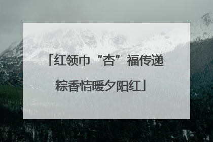 红领巾“杏”福传递 粽香情暖夕阳红