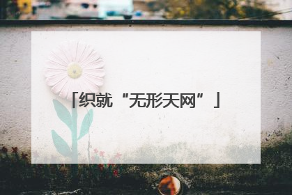 织就“无形天网”