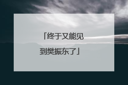 终于又能见到樊振东了