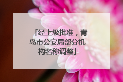 经上级批准，青岛市公安局部分机构名称调整