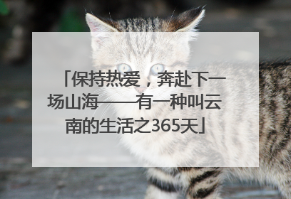 保持热爱，奔赴下一场山海——有一种叫云南的生活之365天